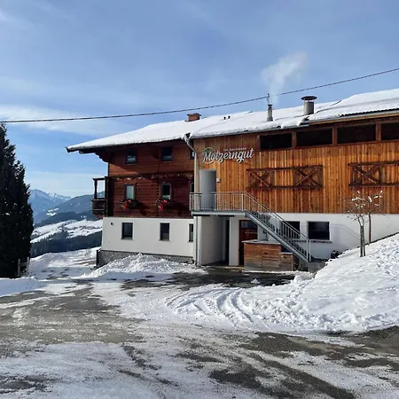 Apartment Apartment In Mittersill With Finnish Sauna, Cleaning Included *