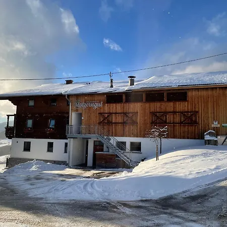 Apartment In Mittersill With Finnish Sauna, Cleaning Included *