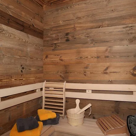 Apartment In Mittersill With Finnish Sauna, Cleaning Included Apartment